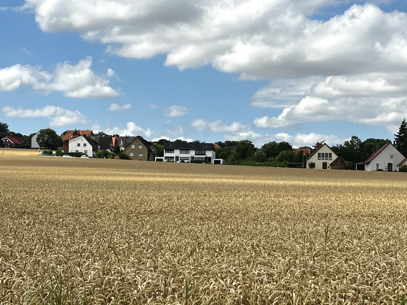 Südliche Hälfte von Bantorf: Wohnbebauung im oberen Dorf über den Kornfeldern