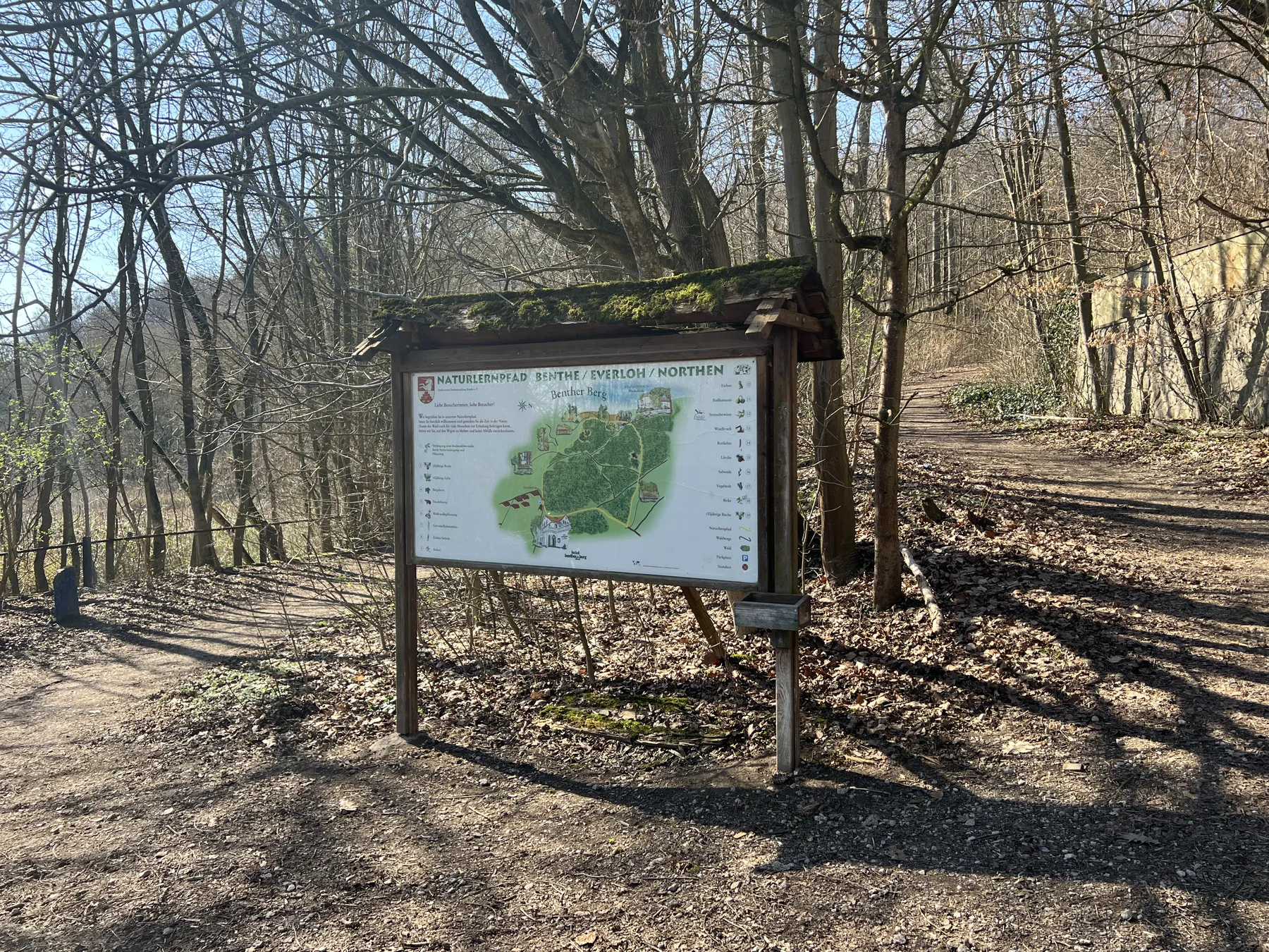 Benther Berg bei Benthe