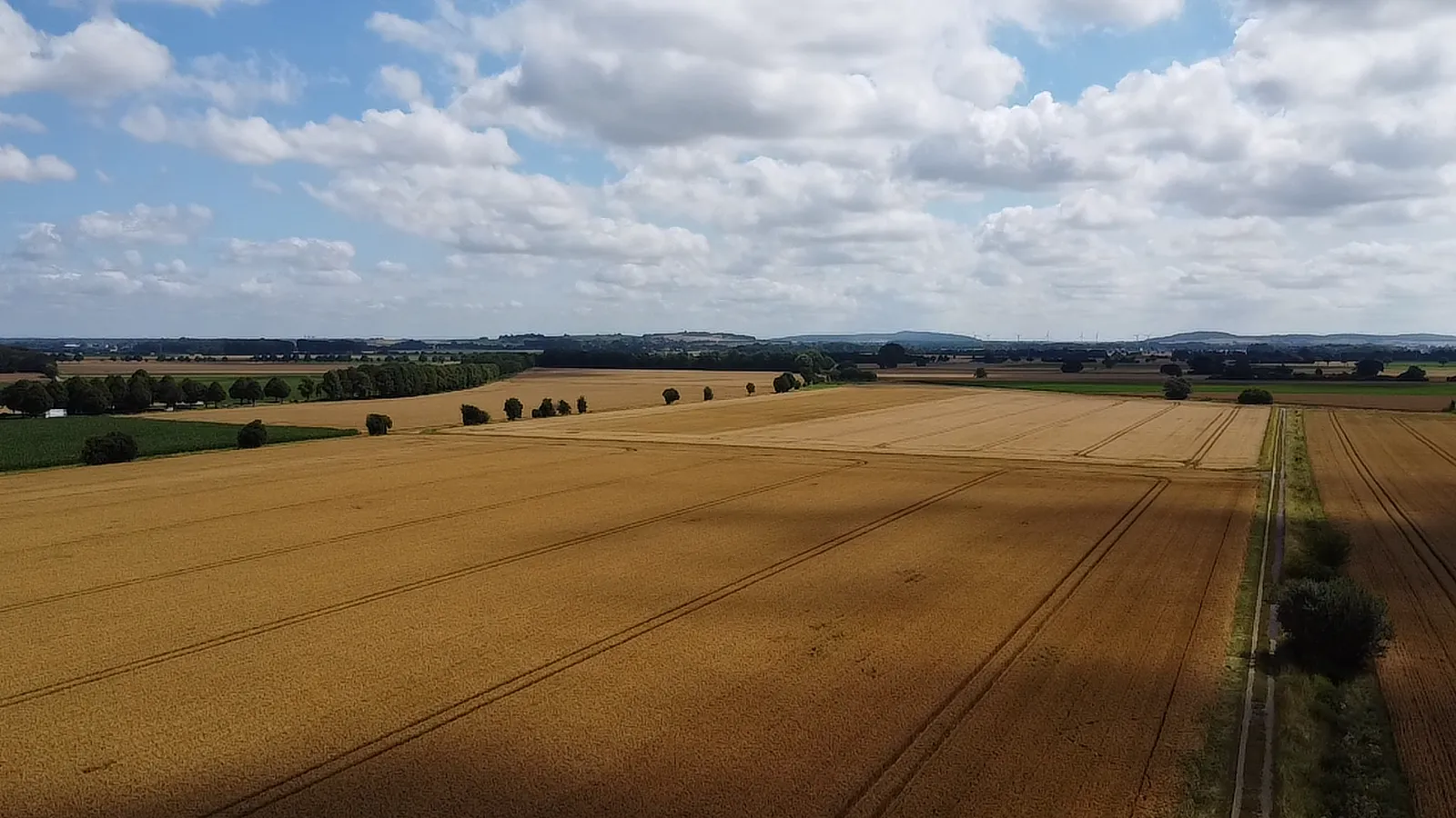 Blick nach Norden über die Feldflur bei Hohenbostel ins Calenberger Land