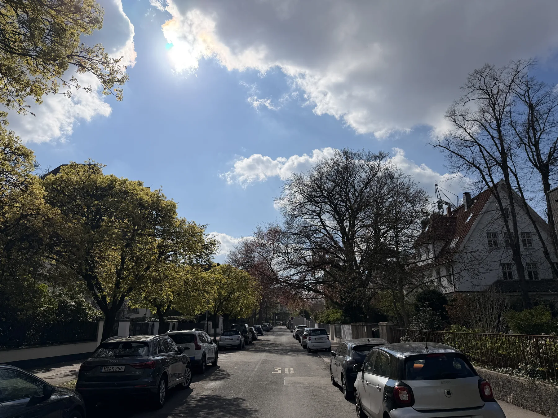 Ruhige gr&uuml;ne Allee im Hannover-Zooviertel