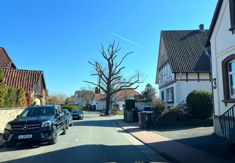 Historische Eiche Naturdenkmal Kreuzung Bergstrasse Benthe Ronnenberg